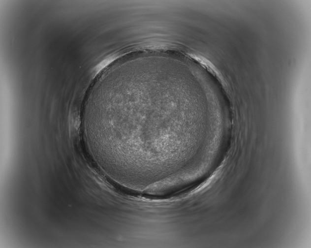 X0000087621065200704271354
