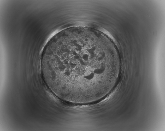 X0000087621075200704271354