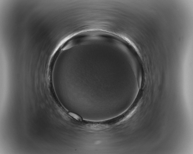 X0000087621077200704271354