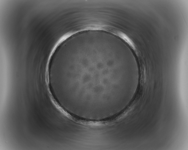 X0000087621080200704271354