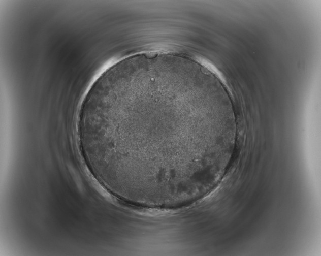 X0000087621091200704271354