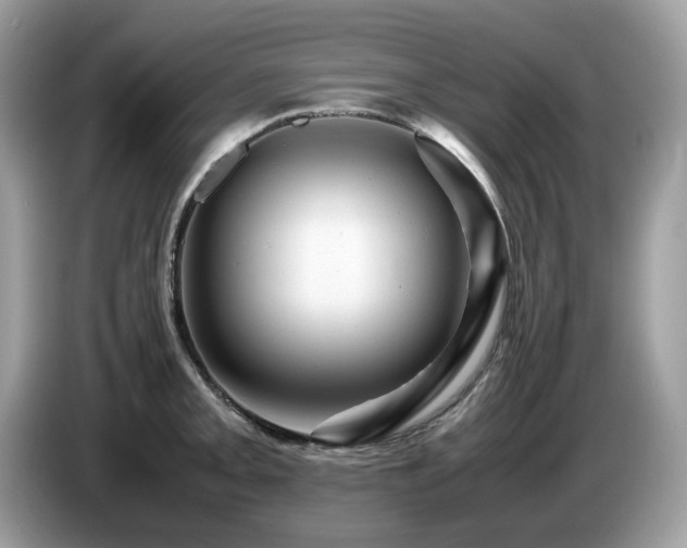X0000087621093200704271354