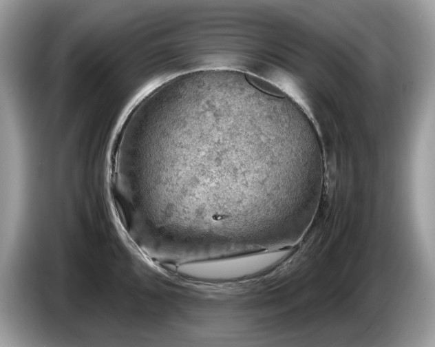 X0000087621096200704271354