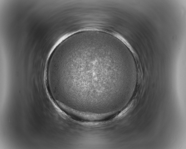 X0000087621101200704271354