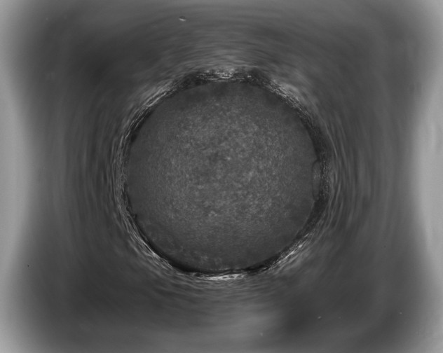 X0000087621105200704271353