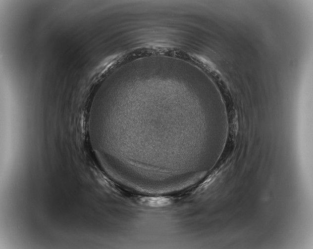 X0000087621110200704271353