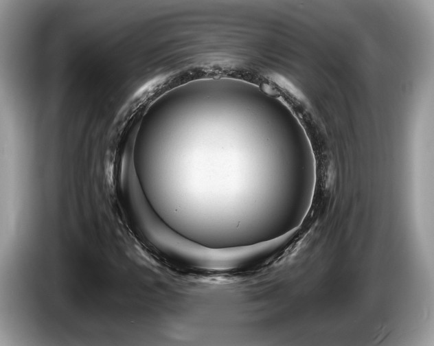 X0000087621112200704271353