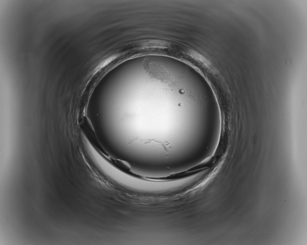 X0000087621113200704271353