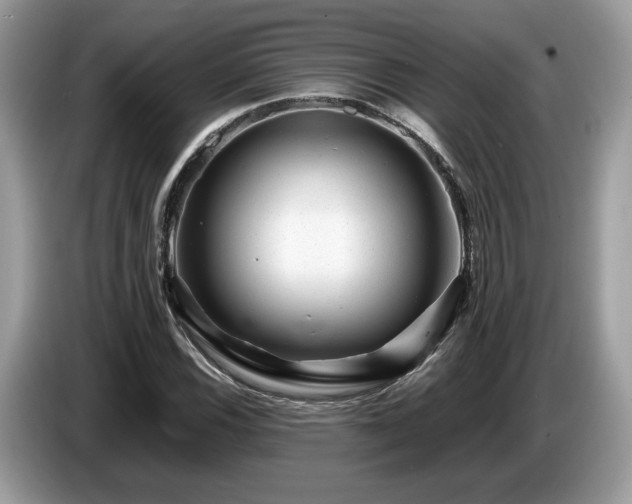 X0000087621116200704271353