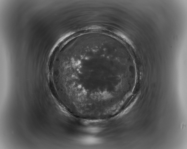 X0000087621117200704271353