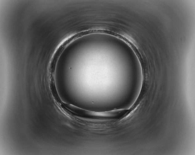 X0000087621119200704271353