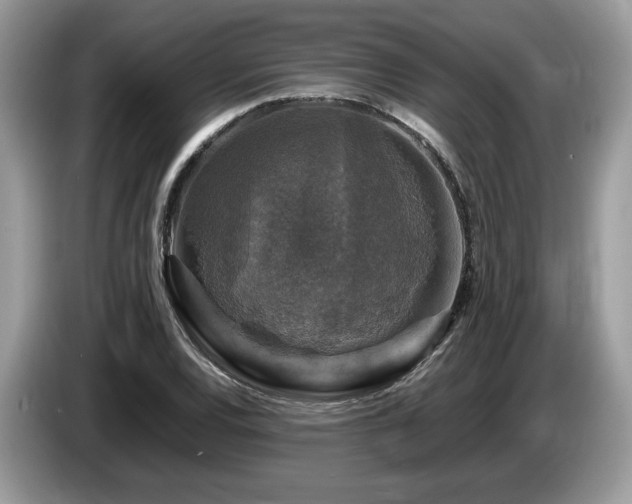 X0000087621120200704271353
