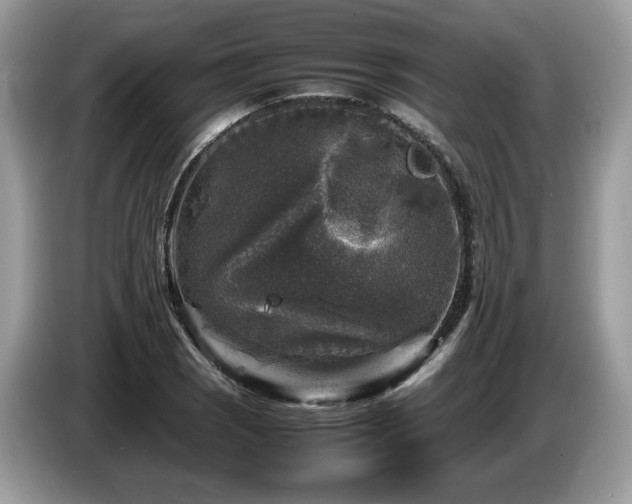 X0000087621121200704271353