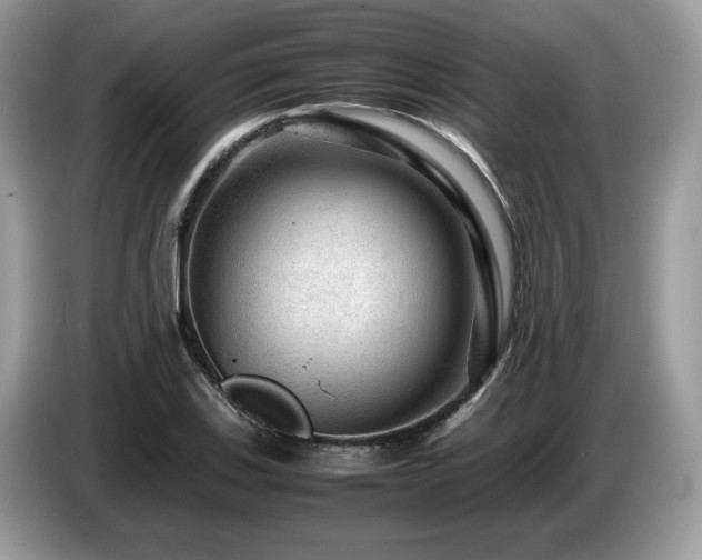 X0000087621123200704271353