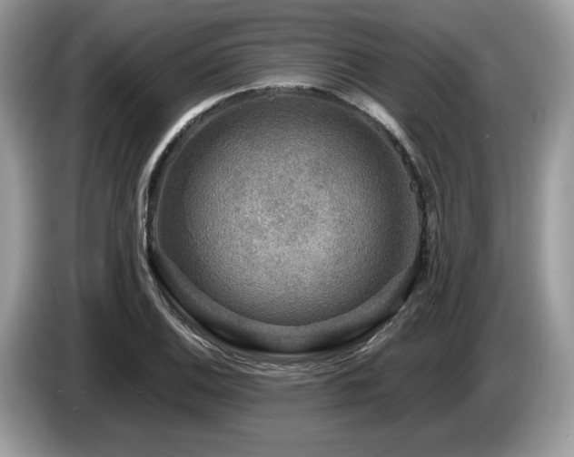 X0000087621124200704271353