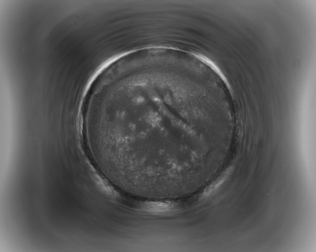 X0000087621125200704271353