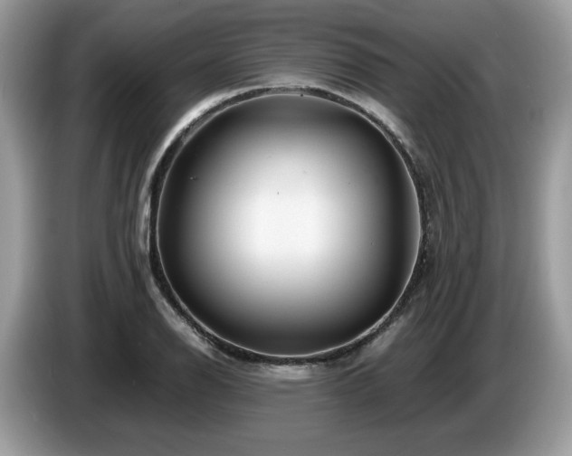 X0000087621126200704271353