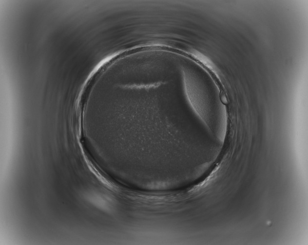 X0000087621127200704271353