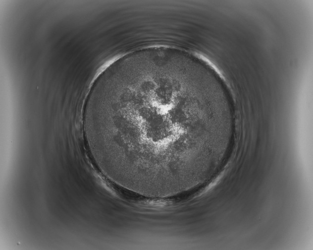 X0000087621129200704271354