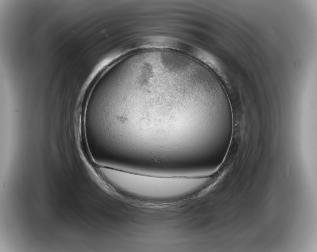 X0000087621130200704271354
