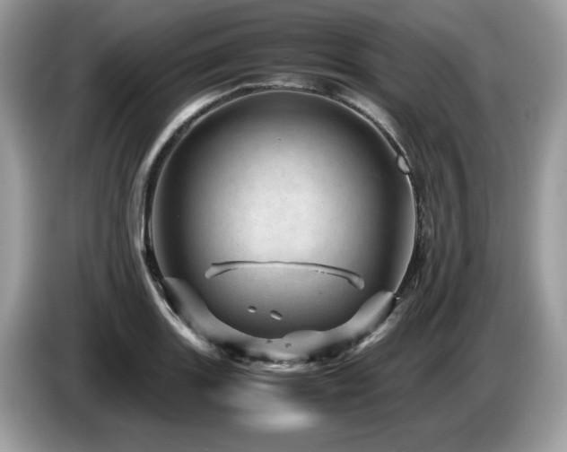 X0000087621131200704271354