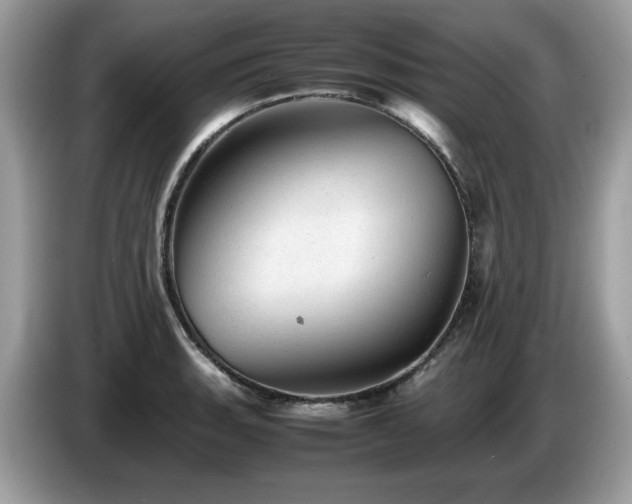 X0000087621135200704271354
