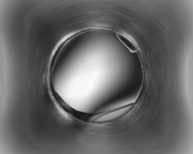 X0000087621136200704271354
