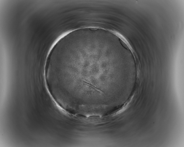 X0000087621149200704271354