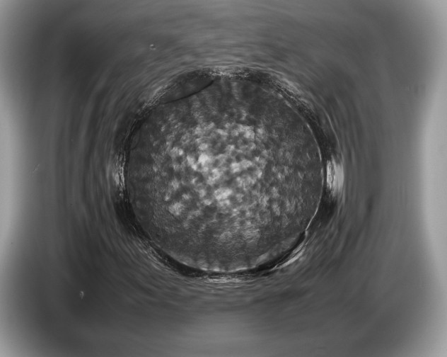 X0000087621155200704271353