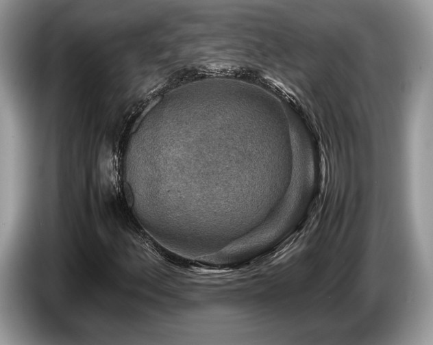 X0000087621156200704271353