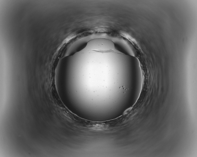 X0000087621160200704271353