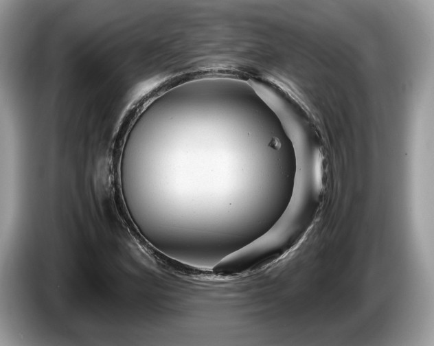 X0000087621164200704271353