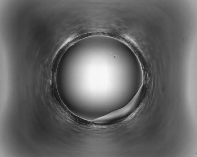 X0000087621165200704271353
