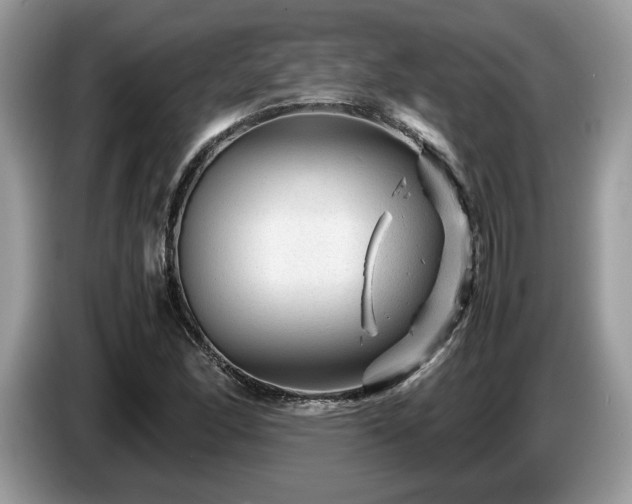 X0000087621166200704271353