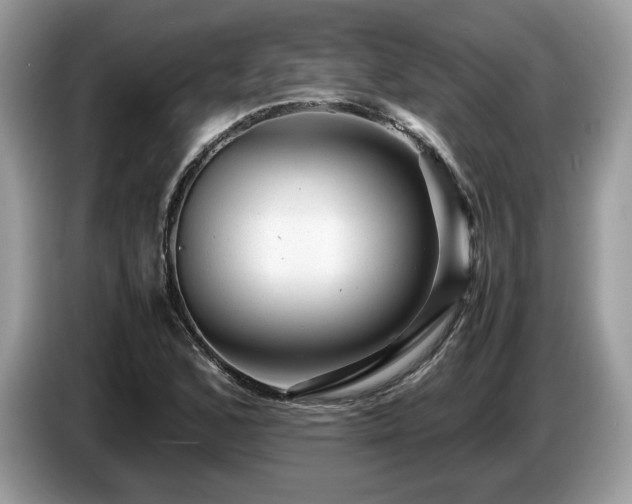 X0000087621168200704271353