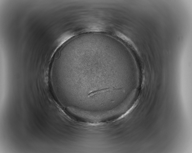 X0000087621170200704271353