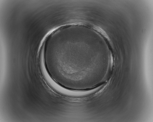 X0000087621172200704271353