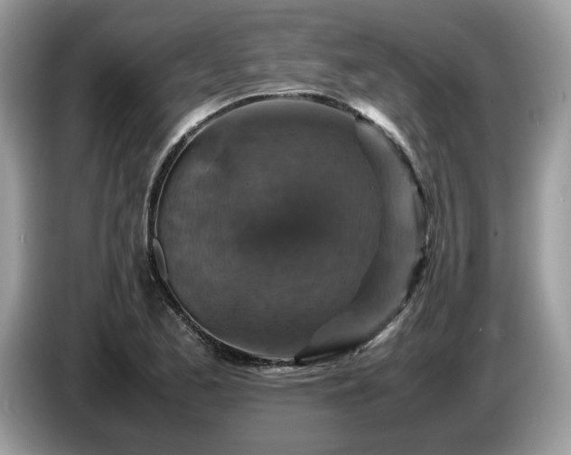 X0000087621173200704271353