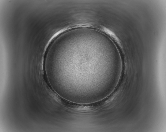 X0000087621174200704271353