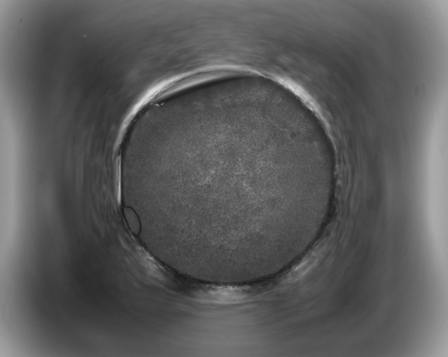 X0000087621175200704271353