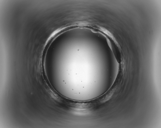 X0000087621176200704271353
