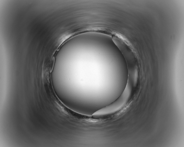 X0000087621177200704271353