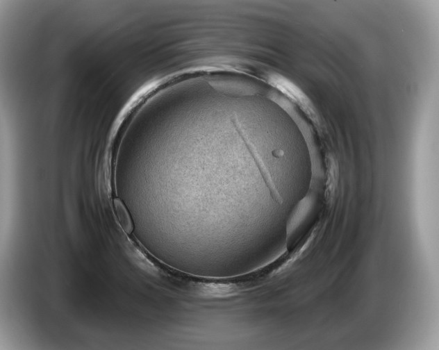 X0000087621180200704271353