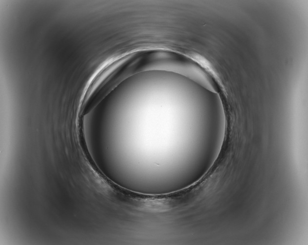 X0000087621181200704271353