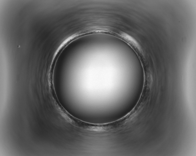 X0000087621182200704271353