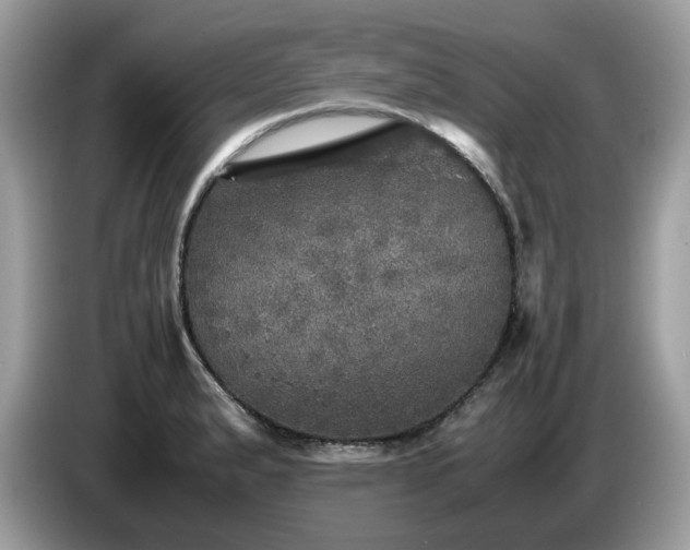 X0000087621183200704271353