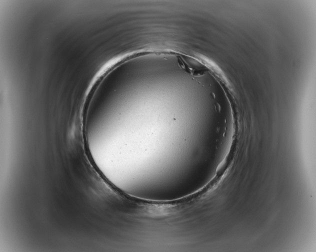 X0000087621184200704271353