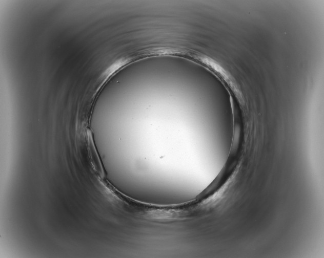 X0000087621185200704271353
