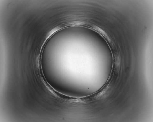 X0000087621186200704271353