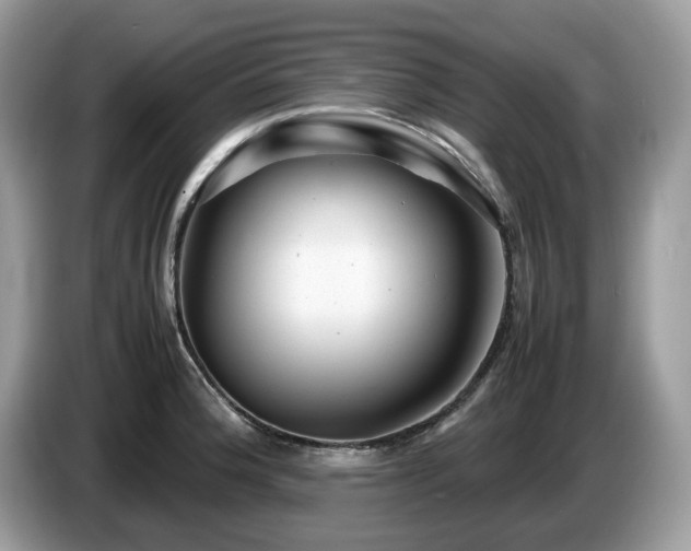 X0000087621188200704271353